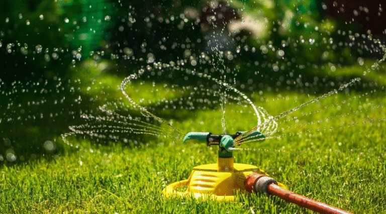 How Often to Water Your Lawn in Red Deer for Healthy Growth and Water Savings
