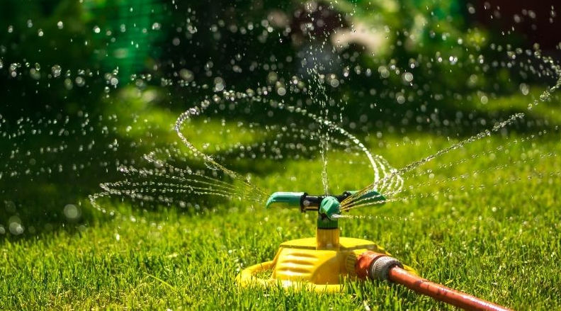 How Often to Water Your Lawn in Red Deer for Healthy Growth and Water Savings